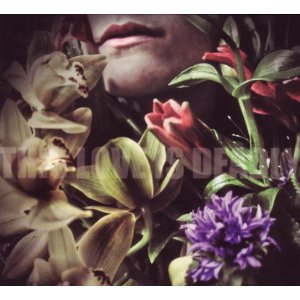 Reingehört: This Love Is Deadly – “This Love Is Deadly” Reingehört: This Love Is Deadly – “This Love Is Deadly”